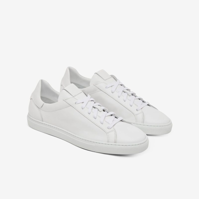 The Reign - Blanco - Image 4