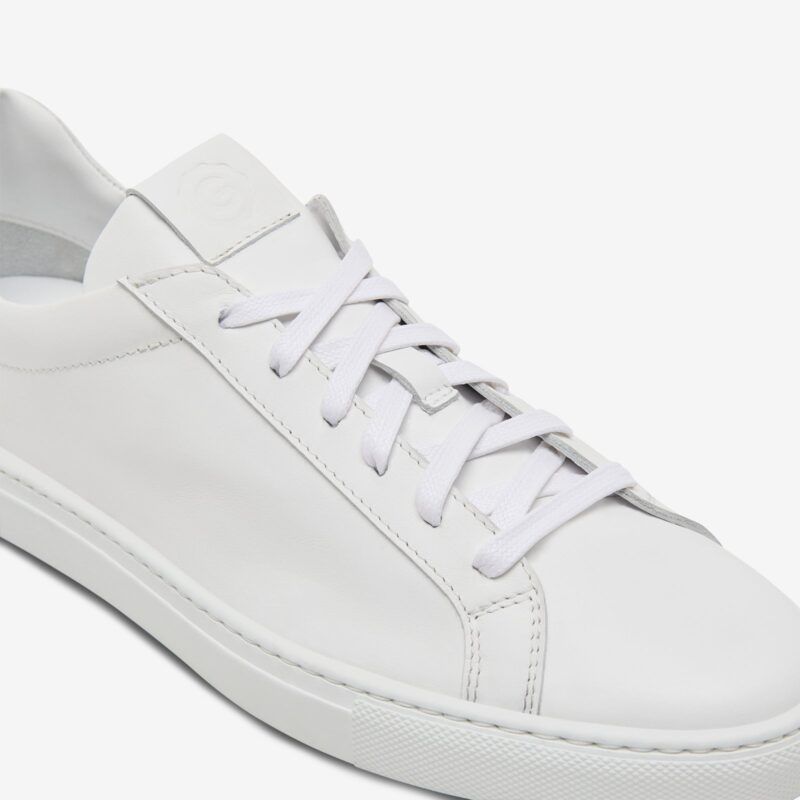 The Reign - Blanco - Image 7