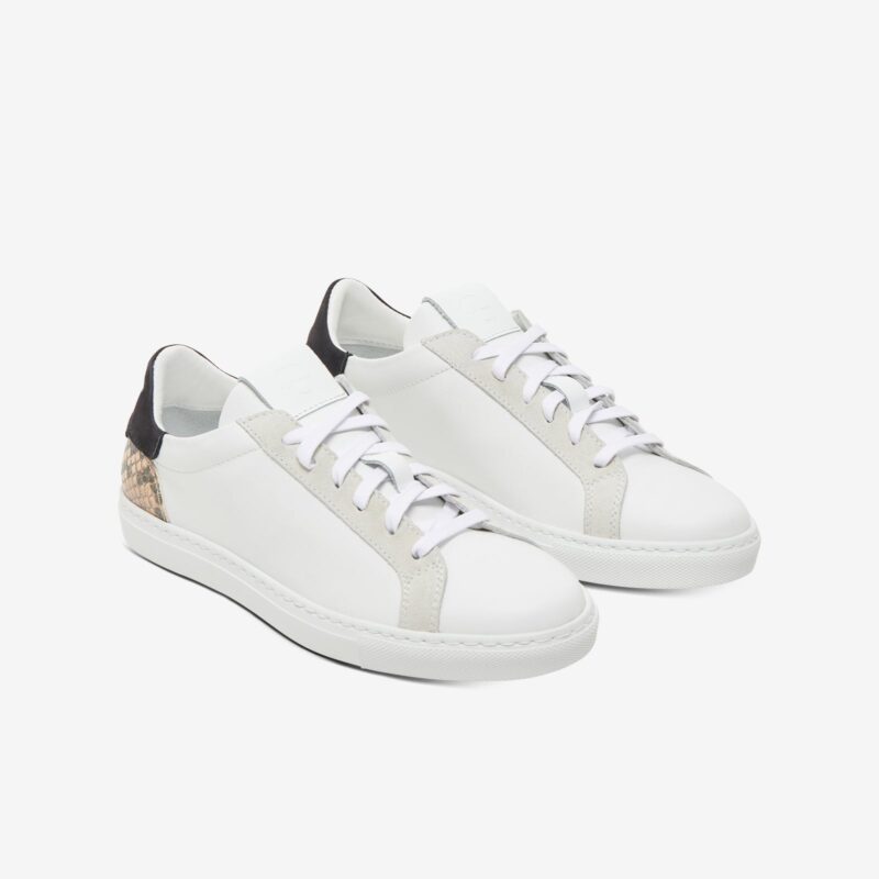 The Reign - Snake White - Image 2